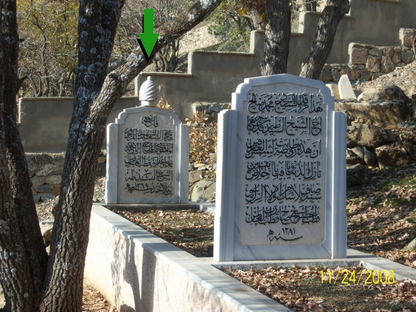 Seyyid Tâhâ-i Hakkârî kuddise sirruh fotoğrafı