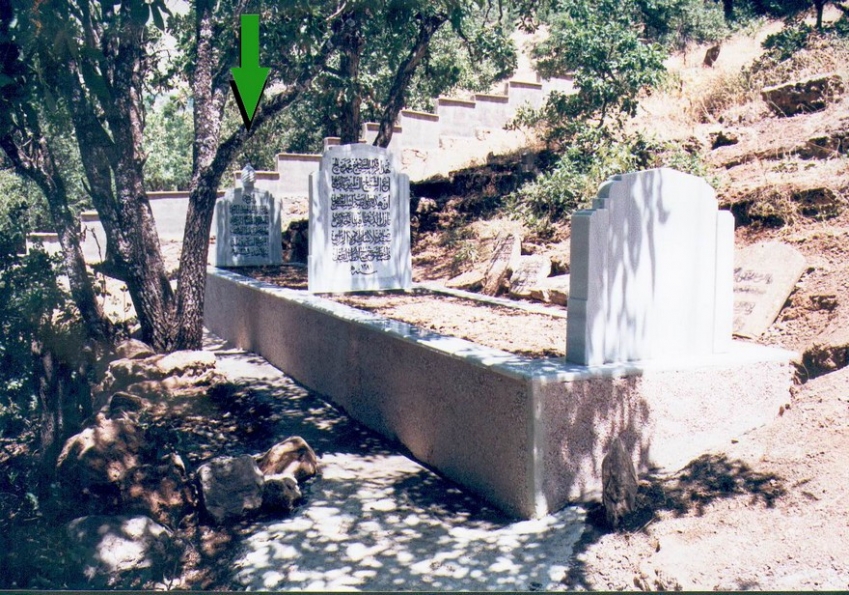 Seyyid Tâhâ-i Hakkârî kuddise sirruh fotoğrafı