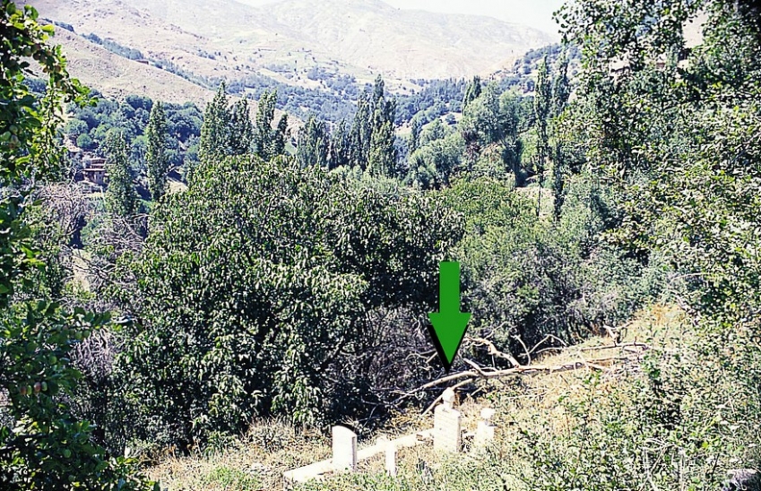 Seyyid Fehîm-i Arvâsî kuddise sirruh fotoğrafı
