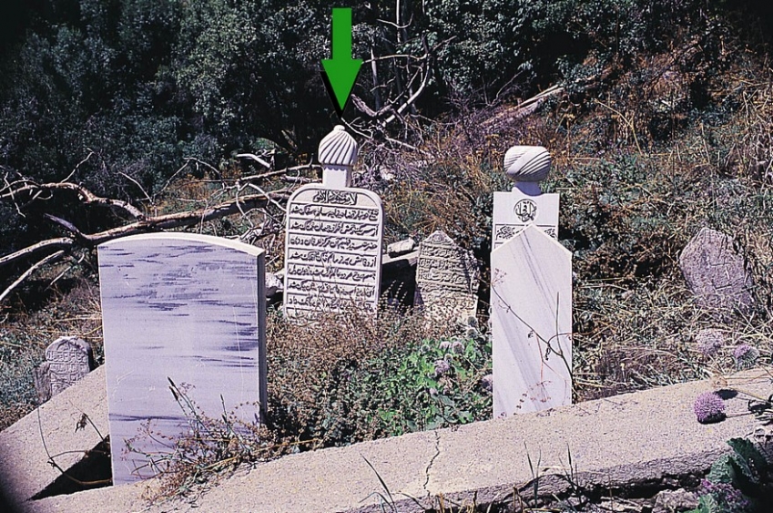 Seyyid Fehîm-i Arvâsî kuddise sirruh fotoğrafı