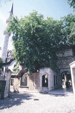 Babazâde Rahmetullahi aleyh