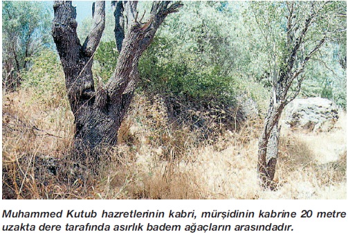 Muhammed Kutub Efendi (arvas) Rahmetullahi aleyh