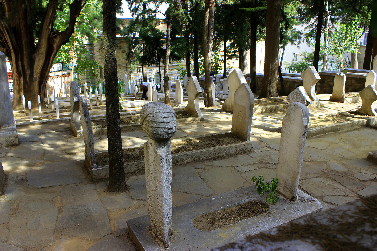 Abdurrahmân bin Yûsuf Rûmî  Rahmetullahi aleyh.