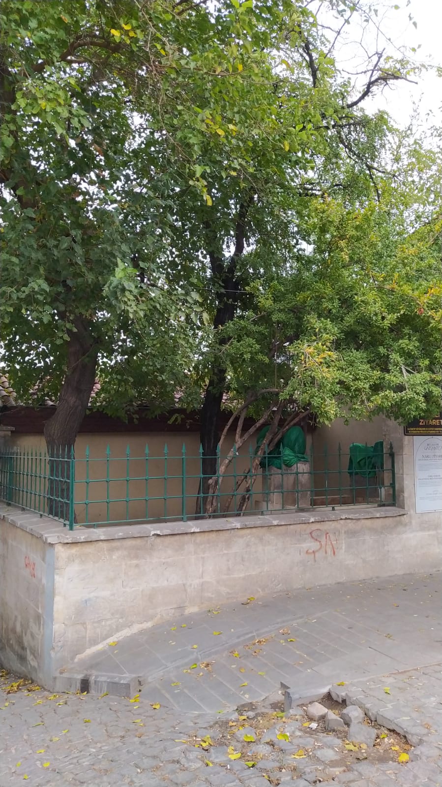 Gözükızıl Mehmed Baba fotoğrafı