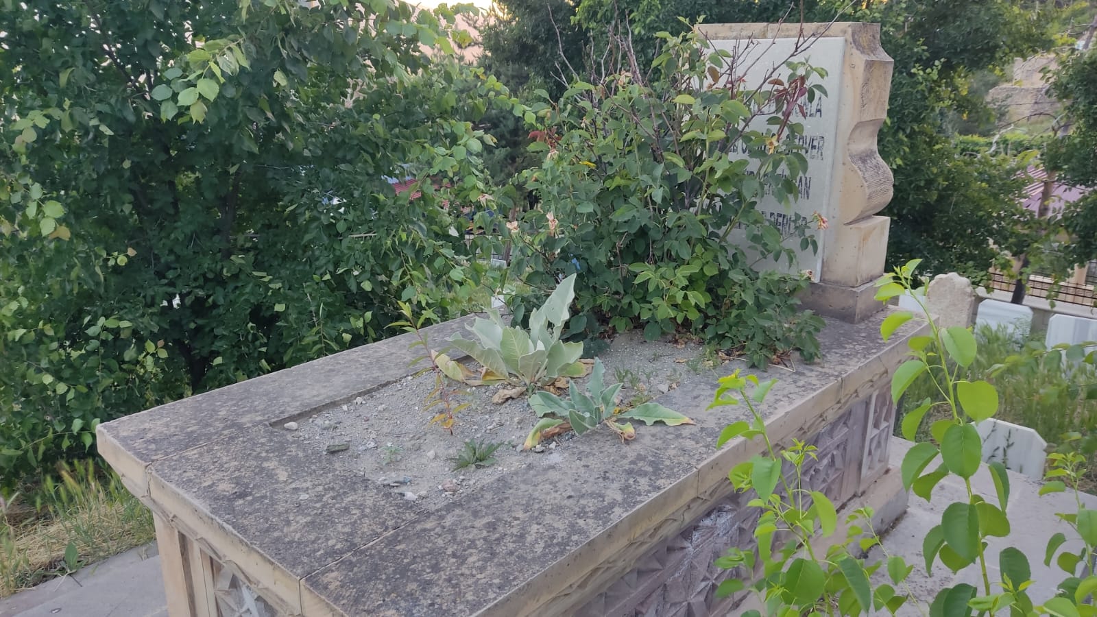 Pîr Muhammed Erzincanî. fotoğrafı