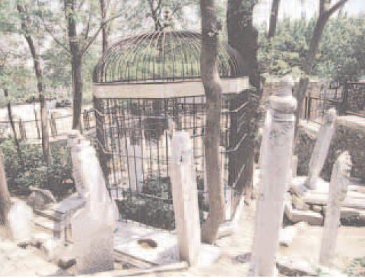 Mehmed Emîn Tokâdî Rahmetullahi aleyh fotoğrafı