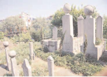 Molla Gürânî Rahmetullahi aleyh fotoğrafı