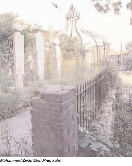 Muhammed Ziyâd Rahmetullahi aleyh fotoğrafı