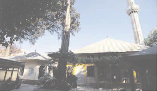 Ramazan Mahfî Efendi Rahmetullahi aleyh